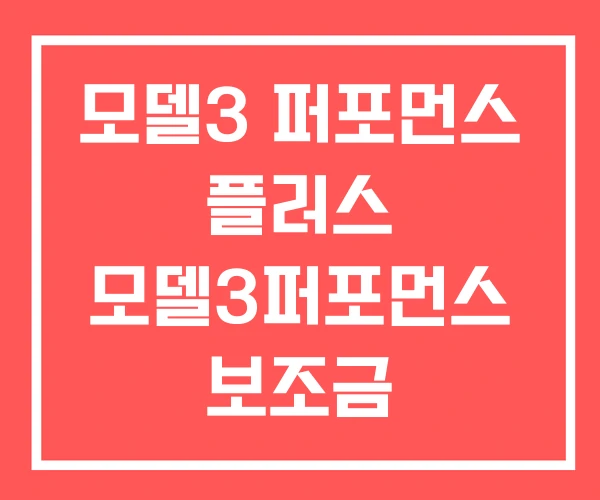 모델3 퍼포먼스 플러스 모델3퍼포먼스 보조금