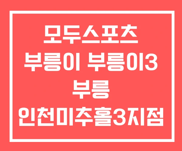 모두스포츠 부릉이 부릉이3 부릉 인천미추홀3지점