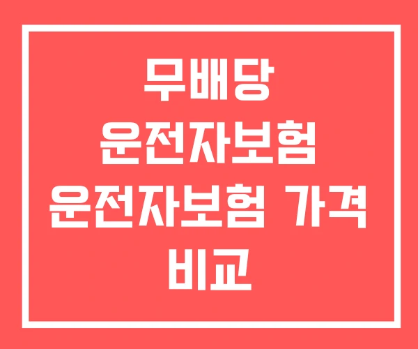무배당 운전자보험 운전자보험 가격 비교 무배당 운전자보험 운전자보험 가격 비교