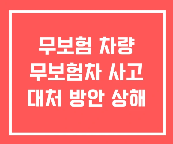 무보험 차량 무보험차 사고 대처 방안 상해