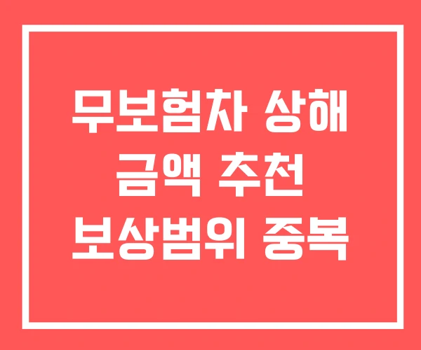 무보험차 상해 금액 추천 보상범위 중복