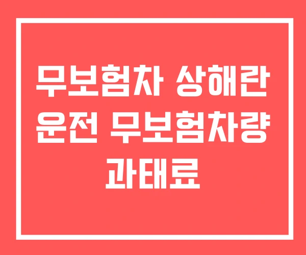 무보험차 상해란 운전 무보험차량 과태료