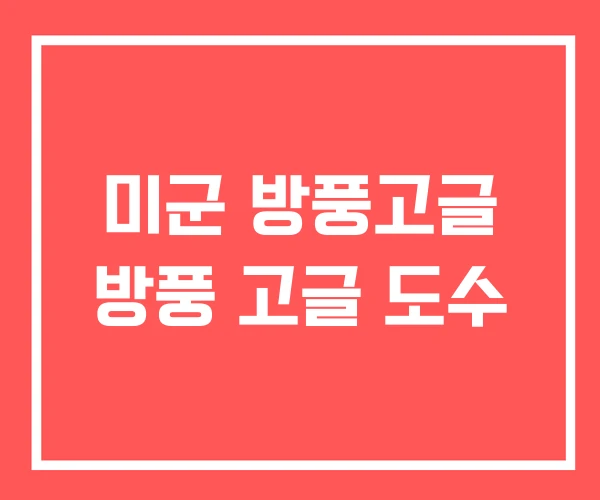 미군 방풍고글 방풍 고글 도수