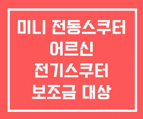 미니 전동스쿠터 어르신 전기스쿠터 보조금 대상