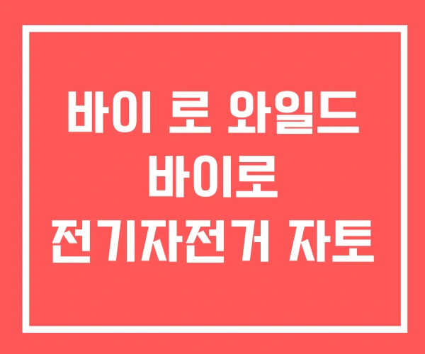 바이 로 와일드 바이로 전기자전거 자토
