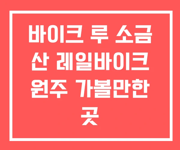 바이크 루 소금 산 레일바이크 원주 가볼만한 곳