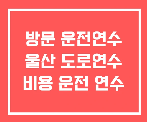 방문 운전연수 울산 도로연수 비용 운전 연수 방문 운전연수 울산 도로연수 비용 운전 연수