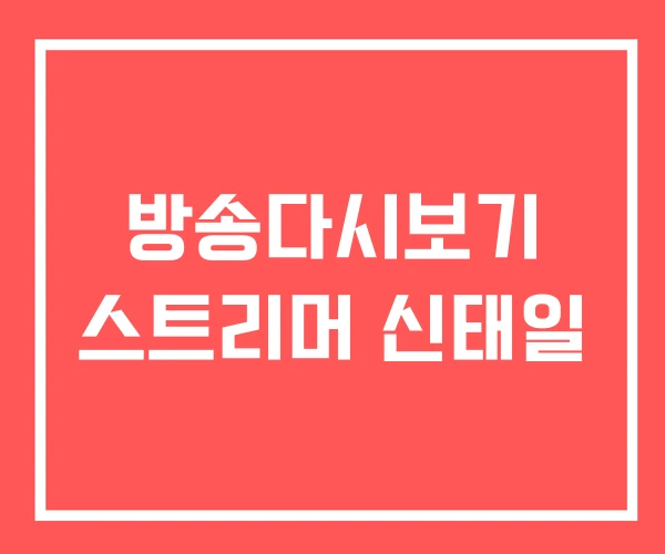 방송다시보기 스트리머 신태일