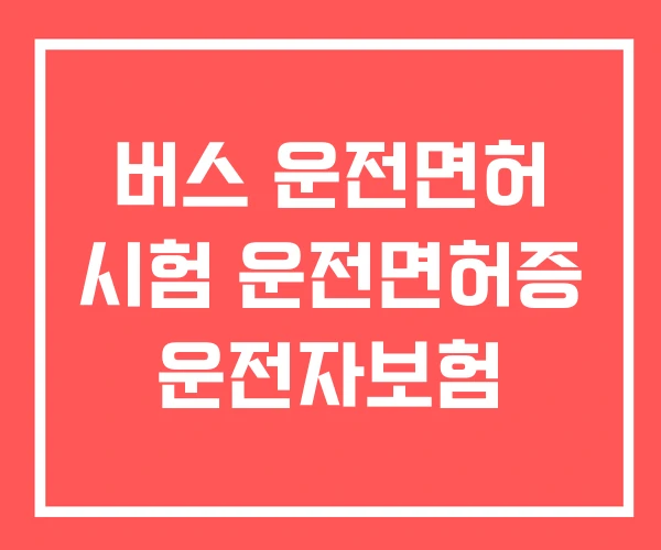 버스 운전면허 시험 운전면허증 운전자보험 버스 운전면허 시험 운전면허증 운전자보험