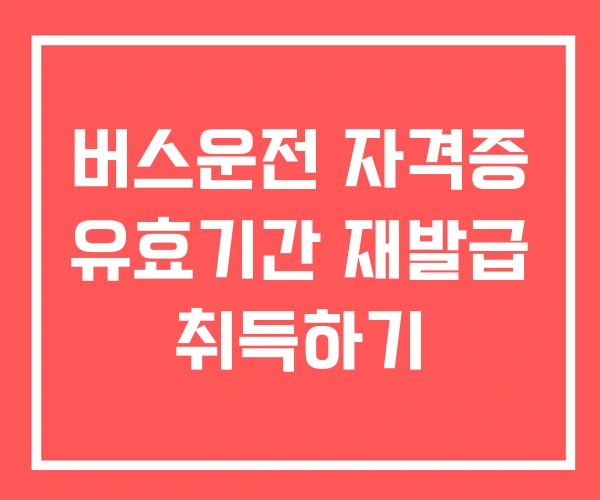 버스운전 자격증 유효기간 재발급 취득하기