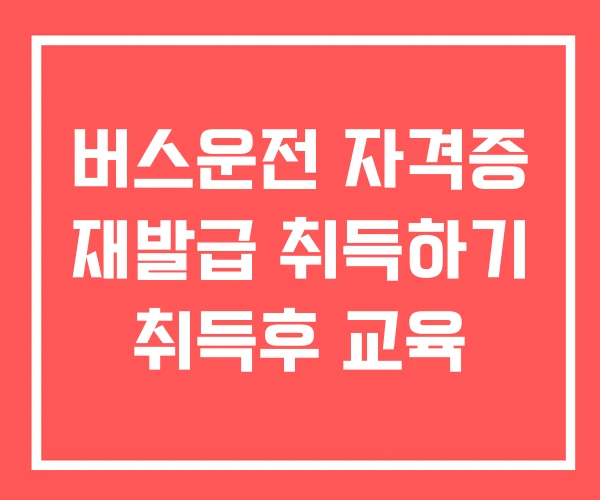 버스운전 자격증 재발급 취득하기 취득후 교육