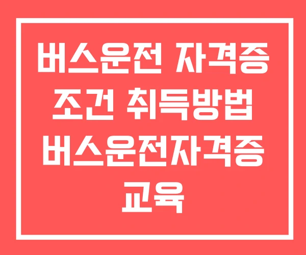 버스운전 자격증 조건 취득방법 버스운전자격증 교육