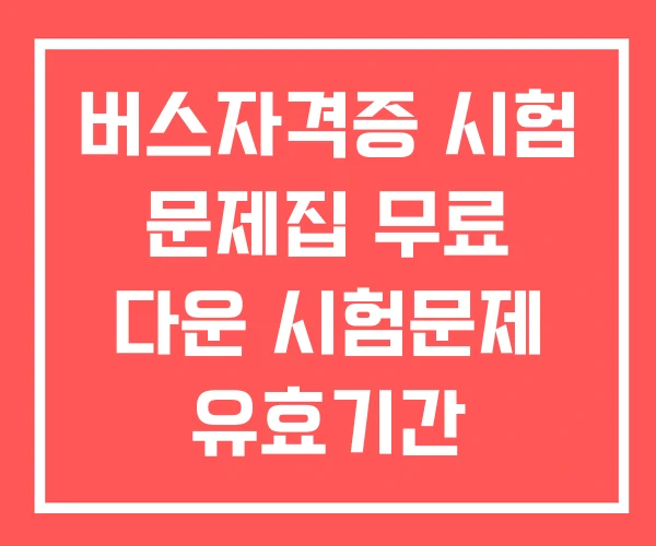 버스자격증 시험 문제집 무료 다운 시험문제 유효기간