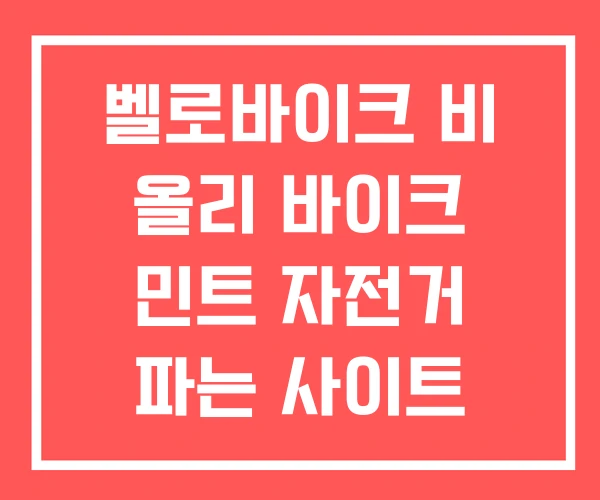 벨로바이크 비 올리 바이크 민트 자전거 파는 사이트 벨로바이크 비 올리 바이크 민트 자전거 파는 사이트