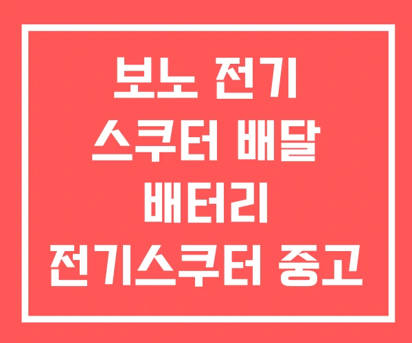 보노 전기 스쿠터 배달 배터리 전기스쿠터 중고