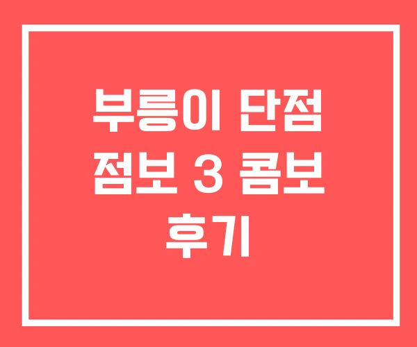 부릉이 단점 점보 3 콤보 후기