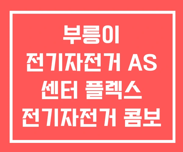 부릉이 전기자전거 AS 센터 플렉스 전기자전거 콤보