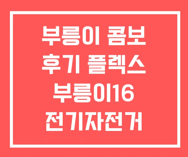 부릉이 콤보 후기 플렉스 부릉이16 전기자전거