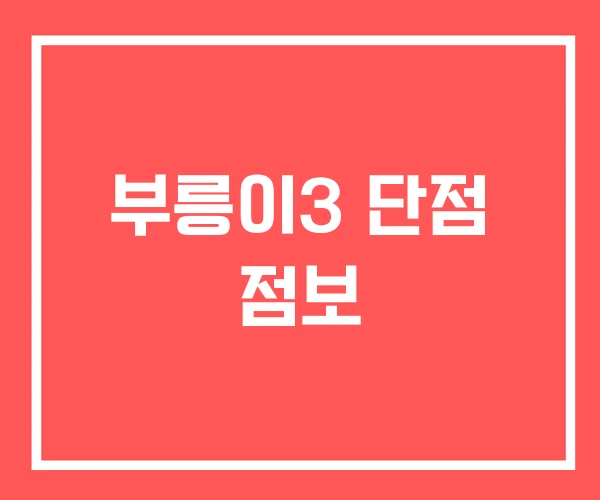 부릉이3 단점 점보