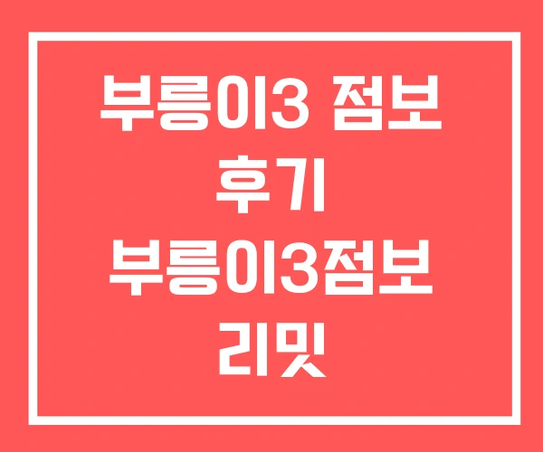 부릉이3 점보 후기 부릉이3점보 리밋