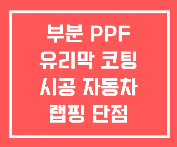 부분 PPF 유리막 코팅 시공 자동차 랩핑 단점