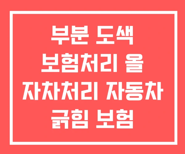 부분 도색 보험처리 올 자차처리 자동차 긁힘 보험