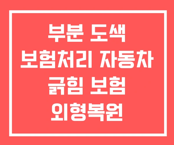 부분 도색 보험처리 자동차 긁힘 보험 외형복원