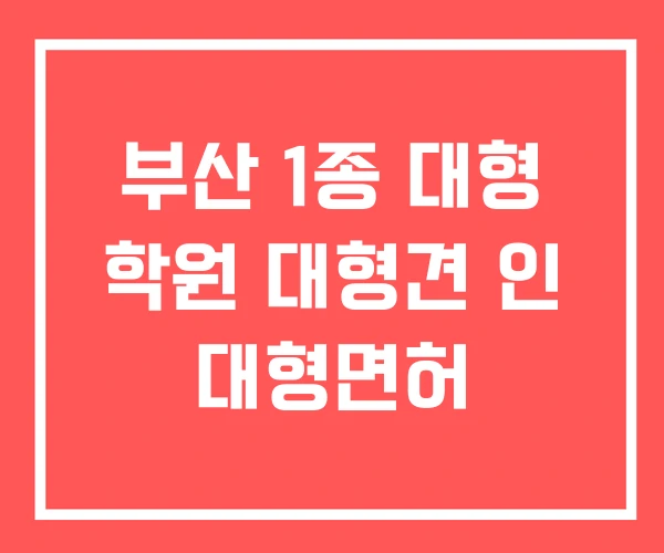 부산 1종 대형 학원 대형견 인 대형면허