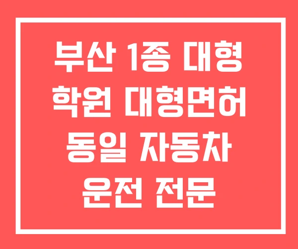 부산 1종 대형 학원 대형면허 동일 자동차 운전 전문 부산 1종 대형 학원 대형면허 동일 자동차 운전 전문