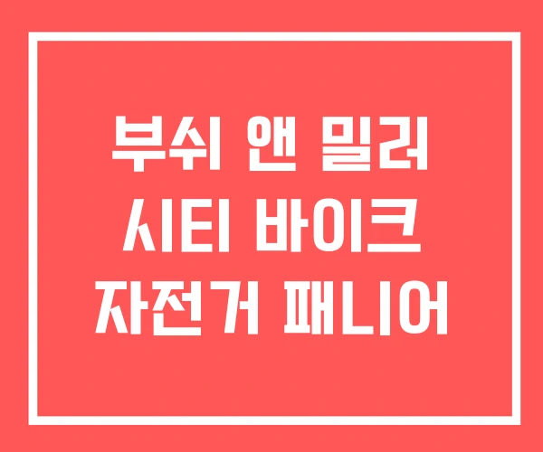 부쉬 앤 밀러 시티 바이크 자전거 패니어