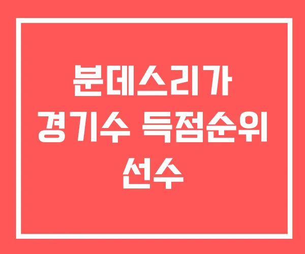 분데스리가 경기수 득점순위 선수
