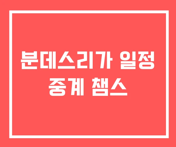 분데스리가 일정 중계 챔스