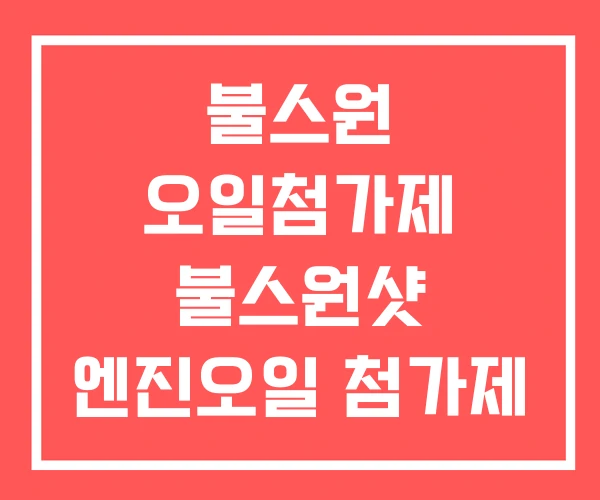 불스원 오일첨가제 불스원샷 엔진오일 첨가제 스탑