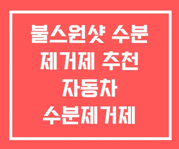 불스원샷 수분 제거제 추천 자동차 수분제거제