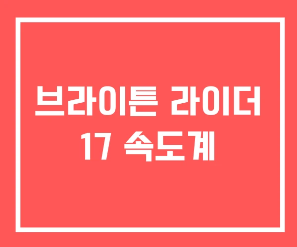 브라이튼 라이더 17 속도계