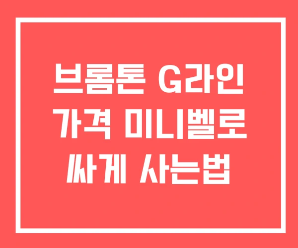 브롬톤 G라인 가격 미니벨로 싸게 사는법
