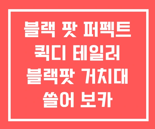 블랙 팟 퍼펙트 퀵디 테일러 블랙팟 거치대 쓸어 보카