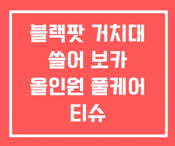 블랙팟 거치대 쓸어 보카 올인원 풀케어 티슈