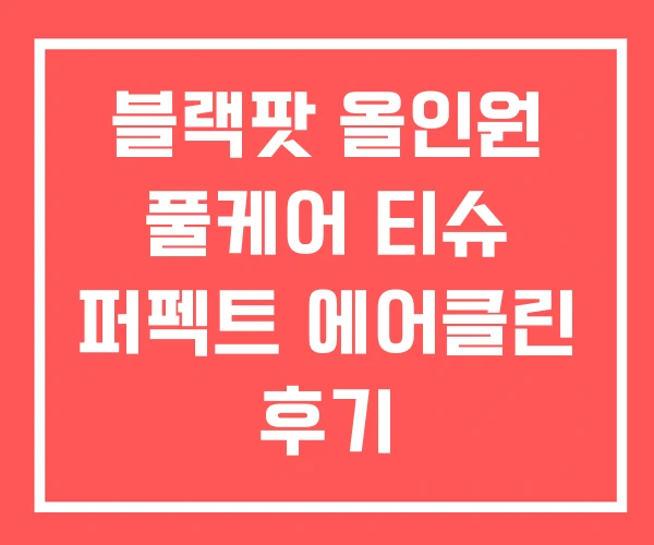 블랙팟 올인원 풀케어 티슈 퍼펙트 에어클린 후기
