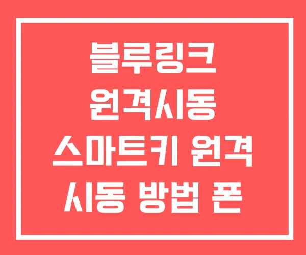 블루링크 원격시동 스마트키 원격 시동 방법 폰 DIY