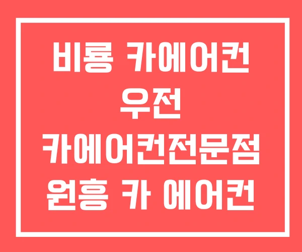 비룡 카에어컨 우전 카에어컨전문점 원흥 카 에어컨
