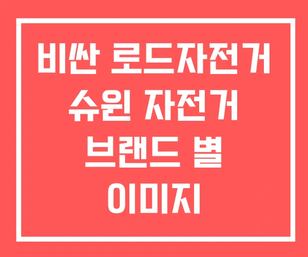 비싼 로드자전거 슈윈 자전거 브랜드 별 이미지