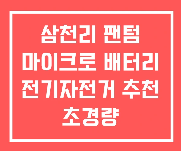 삼천리 팬텀 마이크로 배터리 전기자전거 추천 초경량
