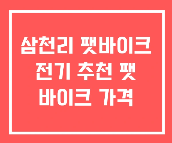 삼천리 팻바이크 전기 추천 팻 바이크 가격
