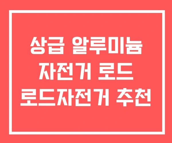 상급 알루미늄 자전거 로드 로드자전거 추천