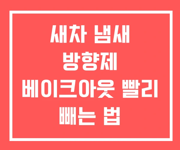 새차 냄새 방향제 베이크아웃 빨리 빼는 법