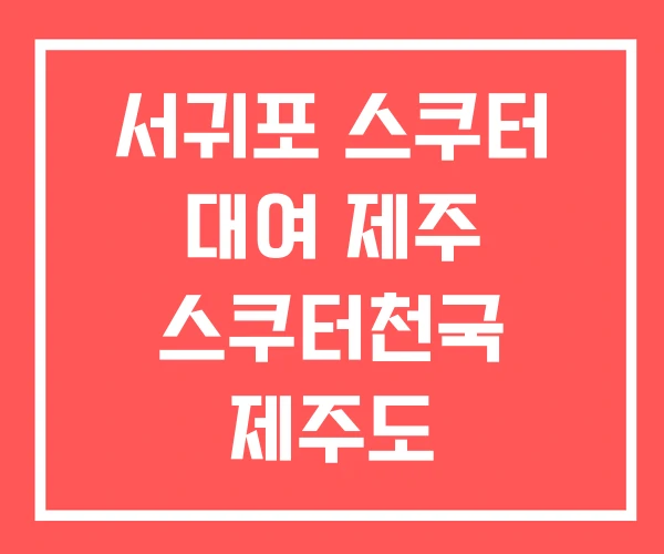 서귀포 스쿠터 대여 제주 스쿠터천국 제주도