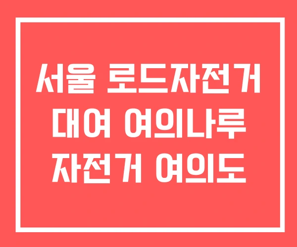 서울 로드자전거 대여 여의나루 자전거 여의도