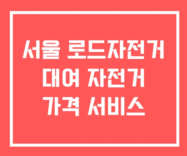 서울 로드자전거 대여 자전거 가격 서비스 서울 로드자전거 대여 자전거 가격 서비스