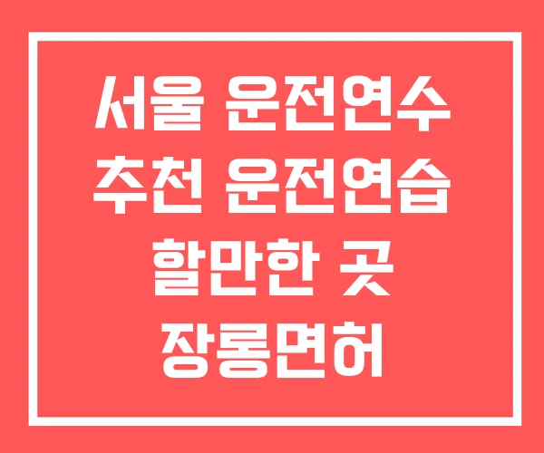 서울 운전연수 추천 운전연습 할만한 곳 장롱면허